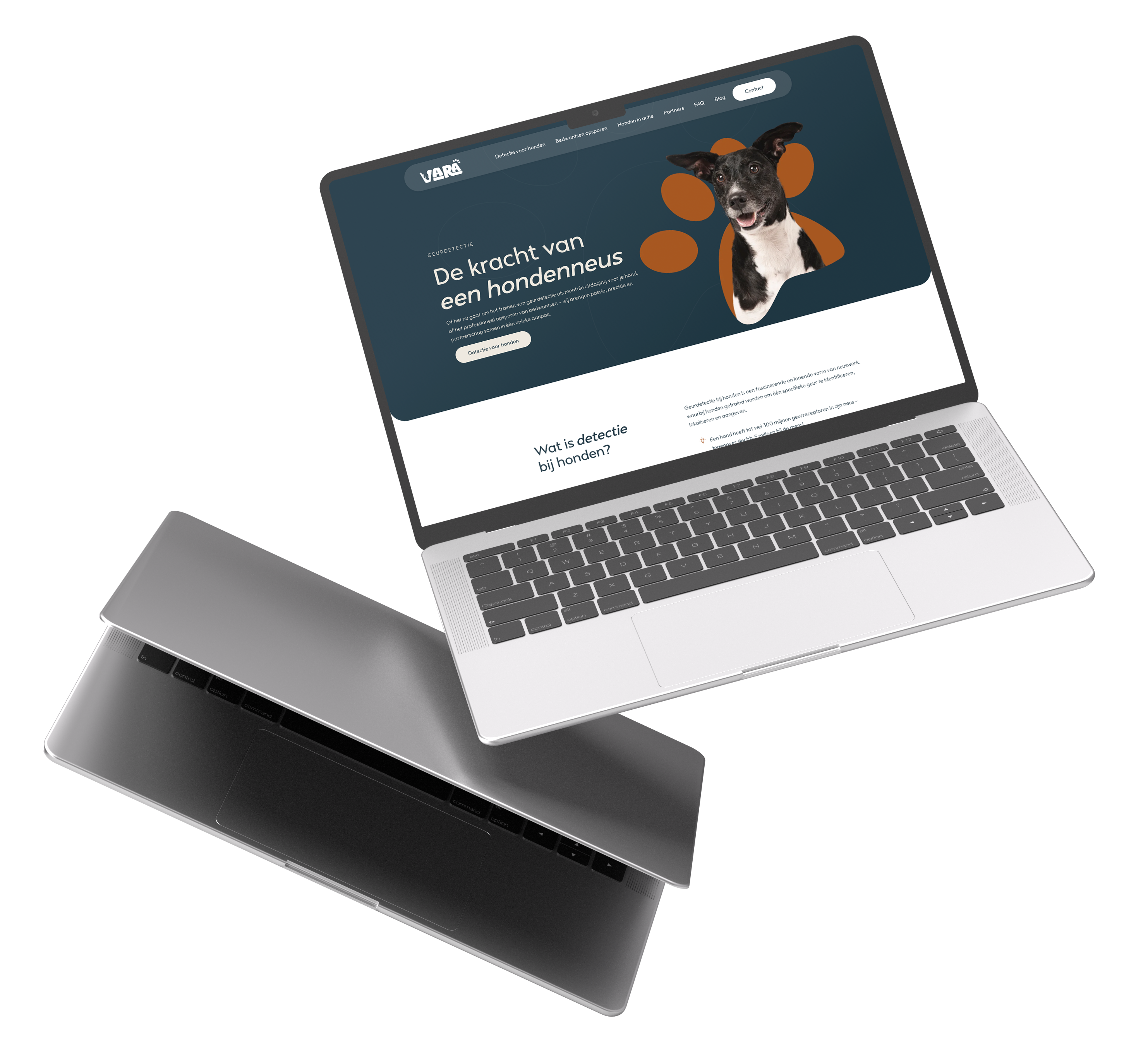 mockup of VARA geurdetectie Website