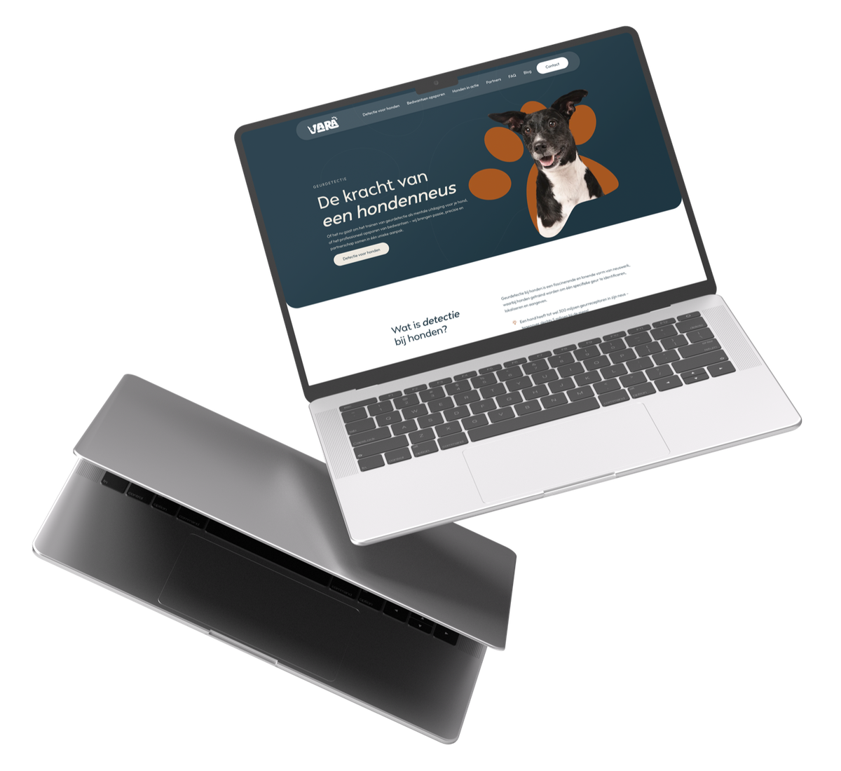 mockup of VARA geurdetectie Website